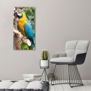 Vászonkép Ara papagáj