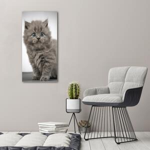 Üvegkép Gray brit macska