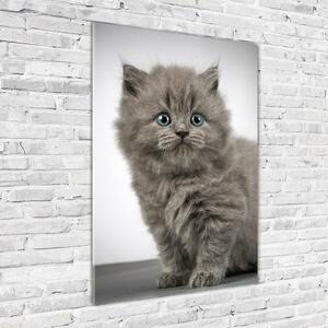 Üvegkép Gray brit macska