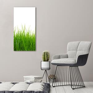 Egyedi üvegkép Zöld fű