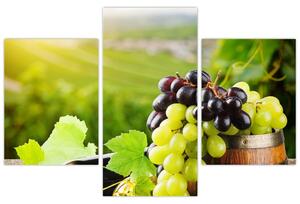 Kép - szőlő (90x60cm)