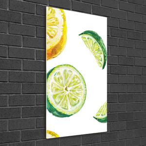 Üvegfotó Limes, citrom