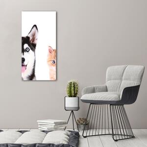 Vászonkép Kutya és macska