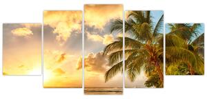 Kép - pálmafák, homokos, tengerpart (150x70cm)