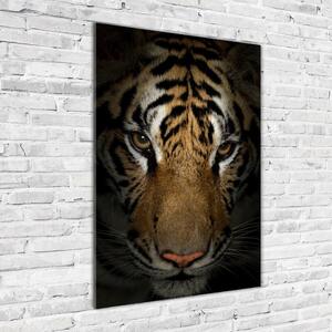 Üvegkép Tigris