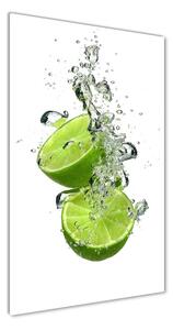 Üvegfotó Limes
