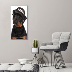 Üvegkép Rottweiler egy sapka