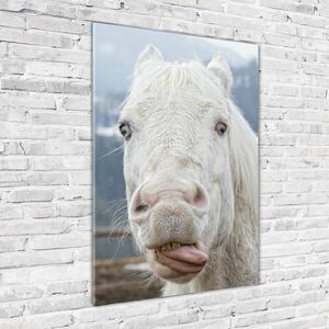 Üvegkép Őrült fehér ló