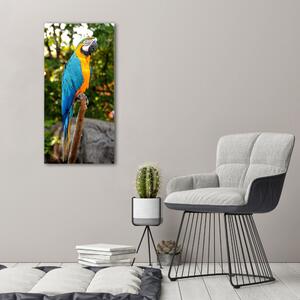 Vászonkép Ara papagáj