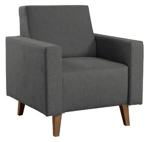 Fotel Delbene 131, Kárpit, 80x75x75cm, Részben összeszerelt