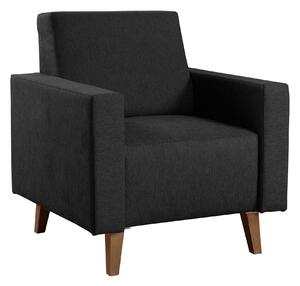 Fotel Delbene 131, Kárpit, 80x75x75cm, Részben összeszerelt