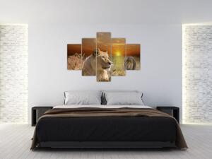 Állatok képei (150x105cm)