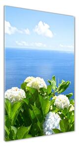 Üvegfotó Hortenzia tenger