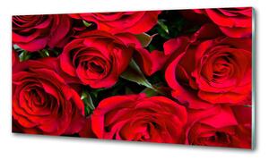 Konyhai panel Vörös rózsák