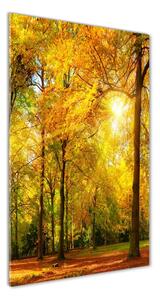 Üvegkép nyomtatás Erdő ősszel