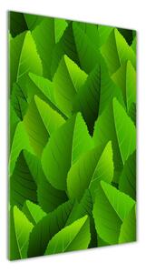 Photo kép üveg Zöld levelek