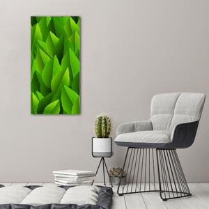 Fali vászonkép Zöld levelek