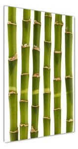 Egyedi üvegkép Bambusz