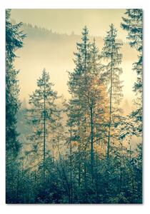 Üvegkép nyomtatás Köd az erdőben