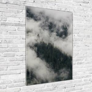 Üvegkép nyomtatás Cloud az erdő