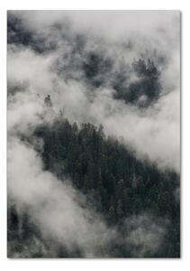 Üvegkép nyomtatás Cloud az erdő