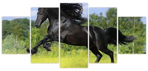 Festészet - lovak (150x70cm)
