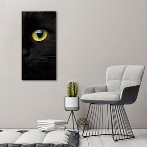 Vászonkép Macska szemek
