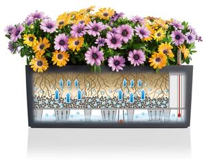 LECHUZA Balconera Color 50 ALL-IN-ONE 15673 palaszínű virágláda