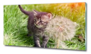 Üvegkép Kitten pitypang
