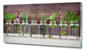 Egyedi üvegkép Növények tégelyek