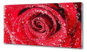 Konyhai panel Vízcseppek egy rózsa