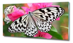 Üvegkép Pillangó a virágon