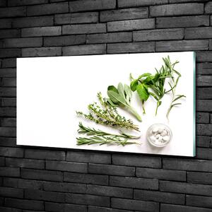 Fali üvegkép Gyógynövények