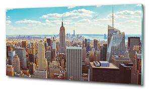Üvegkép nyomtatás New york-i járat madár