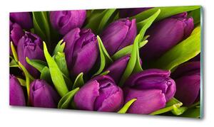 Konyhai hátfal panel üveg Lila tulipánok