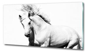 Üvegkép Fehér ló