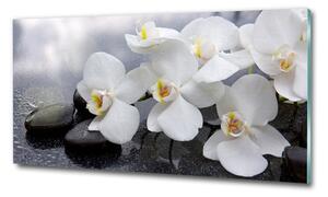 Egyedi üvegkép Orchidea