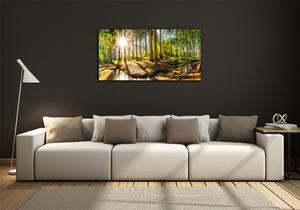 Üvegfotó Panorama erdő