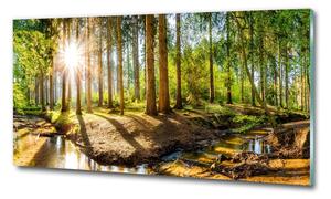 Üvegfotó Panorama erdő