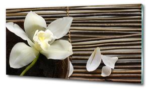 Egyedi üvegkép Orchidea