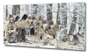 Üvegkép Farkasok télen