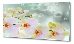 Konyhai üveg fali panel Fehér orchidea