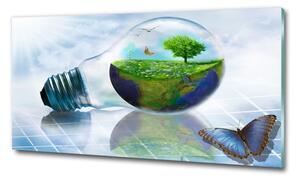Üvegkép Ökológiai erőforrások