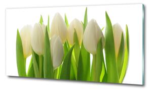 Egyedi üvegkép Tulipán