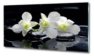Egyedi üvegkép Orchidea