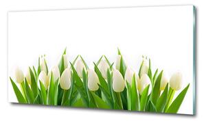 Egyedi üvegkép Fehér tulipán