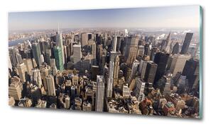 Üvegkép falra New york-i járat madár