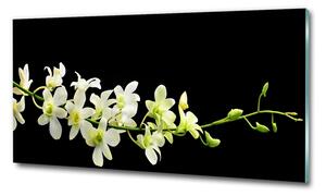 Egyedi üvegkép Orchidea