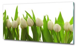 Egyedi üvegkép Fehér tulipán