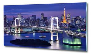 Üvegkép falra Bridge tokióban